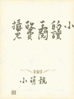 摄政王的小宠妃免费阅读封面