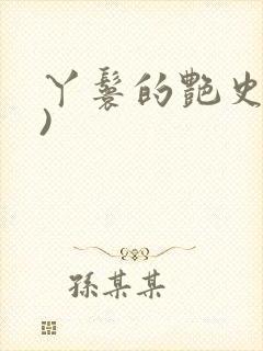 丫鬟的艳史(H)封面