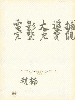 电影大追捕在线完整免费观看国语