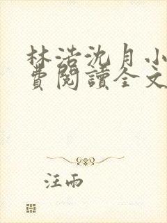 林浩沈月小说免费阅读全文封面