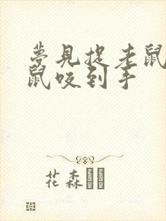 梦见捉老鼠被老鼠咬到手