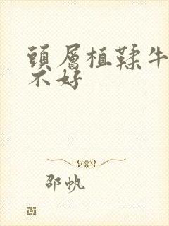 头层植鞣牛皮好不好