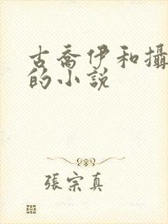 古乔伊和摄政王的小说封面