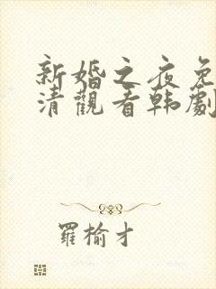 新婚之夜免费高清观看韩剧