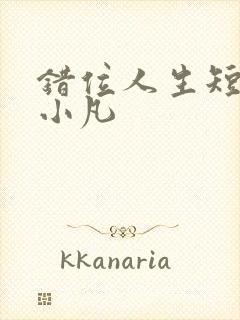 错位人生短剧李小凡