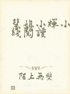 慧姐小辉小说在线阅读