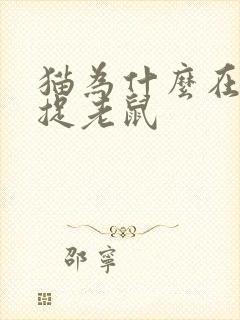 猫为什么在晚上捉老鼠