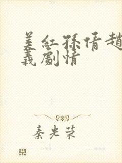 美红孙倩赵敏高义剧情