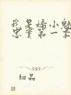 我是娇小魅魔的忠实第一季免费观看