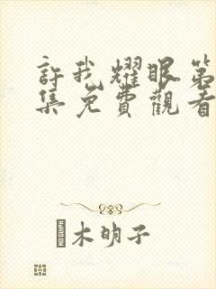 许我耀眼第十七集免费观看