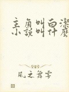 主角叫白洁那个小说叫什么封面