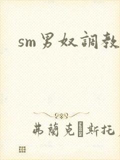 sm男奴调教文