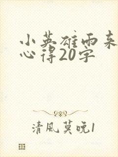 小英雄雨来阅读心得20字