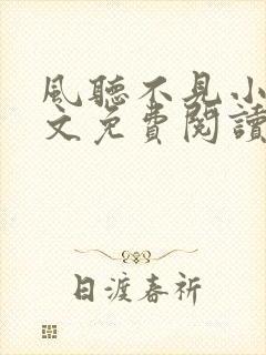 风听不见小说全文免费阅读最新章节