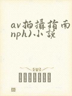 av拍摄指南(nph)小说封面