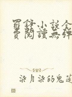 罗铮小说全文免费阅读无弹窗