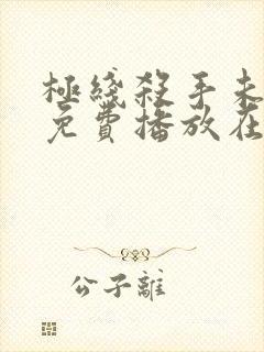 极线杀手未删版免费播放在线观看