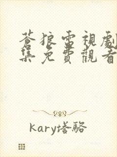 苍狼电视剧46集免费观看全集