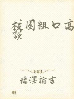 校园粗口高h小说