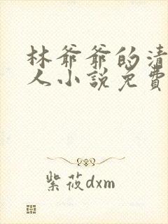 林爷爷的清冷美人小说免费无弹窗