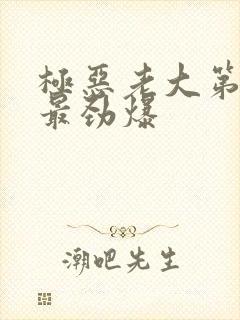 极恶老大第几集最劲爆