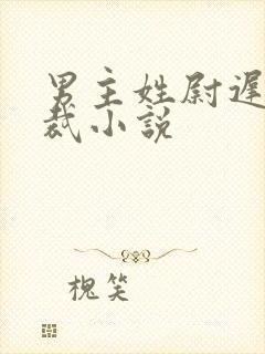 男主姓尉迟的总裁小说封面