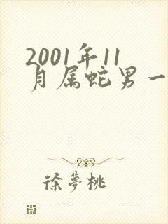 2001年11月属蛇男一生命运