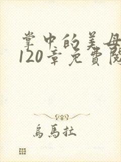 掌中的美母版主120章免费阅读