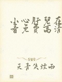 小心肝儿在线观看免费高清原声