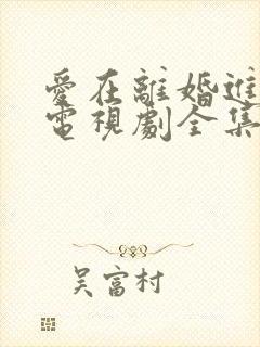 爱在离婚进行时电视剧全集免费观看