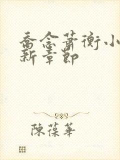 乔念萧衡小说最新章节