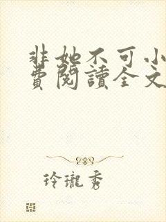 非她不可小说免费阅读全文封面