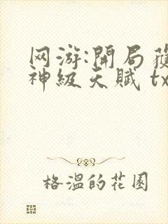 网游:开局获得神级天赋 txt下载