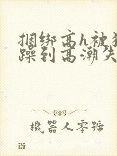 捆绑高h被狂c躁到高潮失禁小说封面