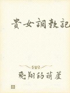 贵女调教记