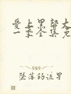 爱上黑帮大佬第一季全集免费观看封面