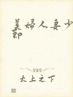 美妇人妻少年章节