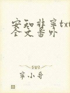 安知非宁txt全文番外