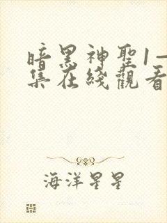 暗黑神圣1—6集在线观看免费