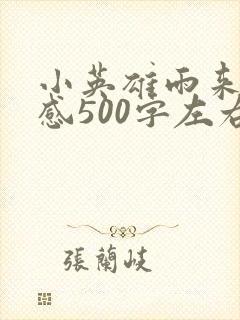 小英雄雨来读后感500字左右五