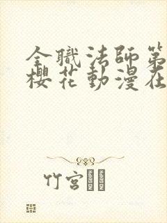 全职法师第九季樱花动漫在线观看封面