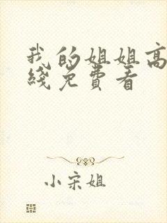 我的姐姐高清在线免费看