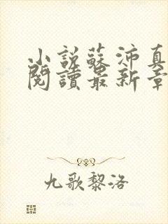 小说苏沛真全文阅读最新章节更新时间