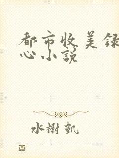 都市收美录宁素心小说