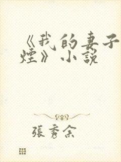 《我的妻子柳如烟》小说