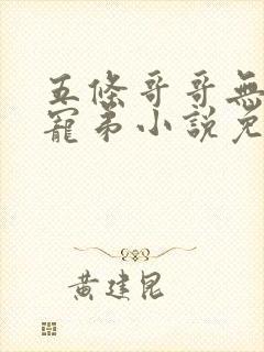 五条哥哥无下限宠弟小说免费阅读全文