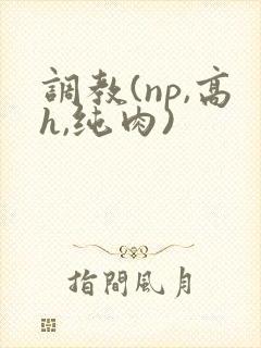 调教(np,高h,纯肉)封面