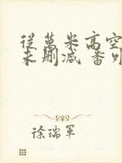 从万米高空降临未删减 番外