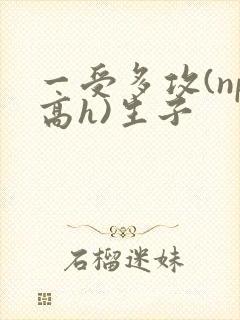 一受多攻(np高h)生子