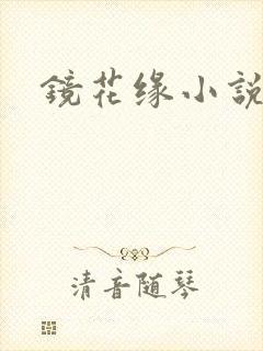 镜花缘小说